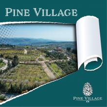 إطلاق مشروع قرية الصنوبر Pine Village