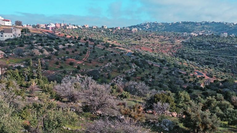 غرب عمان