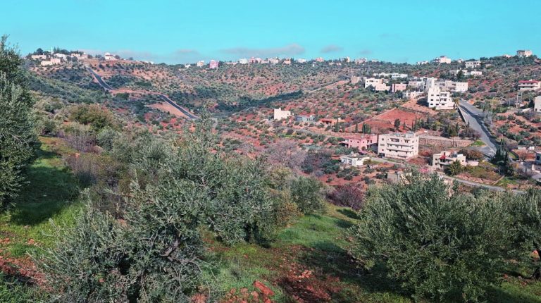 ام الاسود